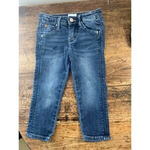 Hudson Boys jeans size 18mo